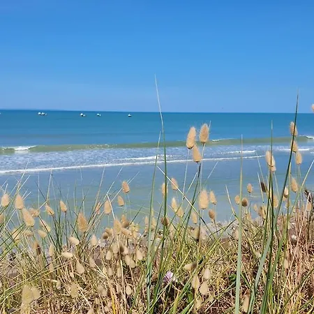 Cadet Rousselle * Lessay